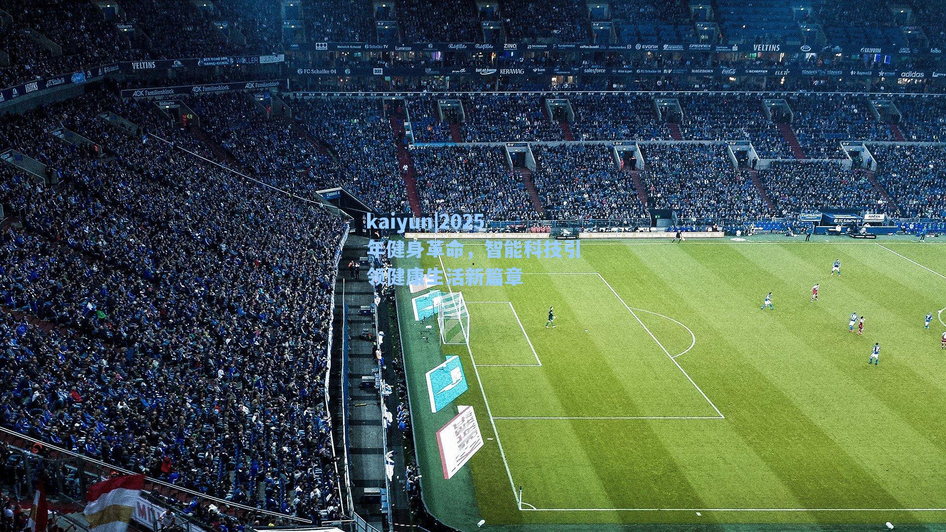 2025年健身革命，智能科技引领健康生活新篇章